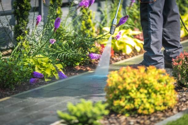 Best Patio and Deck Pressure Washing  in Livermore, CA